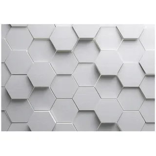 WallArena Fototapete Jungen Gaming Grau 300x210 cm