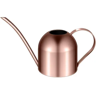 Yardwe Edelstahl GießKanne 1l FüR Zimmerpflanzen Und Sukkulenten, Langer Auslauf, Ideal FüR Haus, Garten Und BüRo (Kupfer)