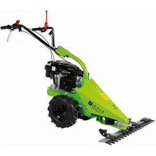 Zipper ZI-BM870ECO 2700 W