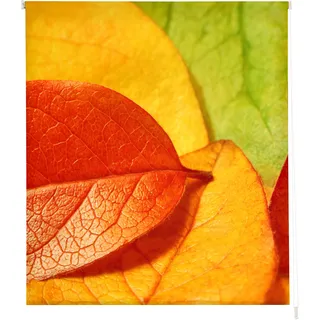 Estoralis | Blumen und PFLANZER | Modernes Design-Rollo | Digital bedruckter Stoff | F-1559 | 160 x 180 cm. (Breite/Höhe) Stoffgröße 157 x 175 cm. | Rollos für Fenster und Türen