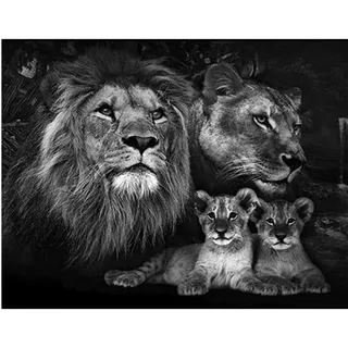 SHEGZHUC Diamond Painting Löwe und Baby - 40x50cm Malen nach Zahlen für Erwachsene - Tiere