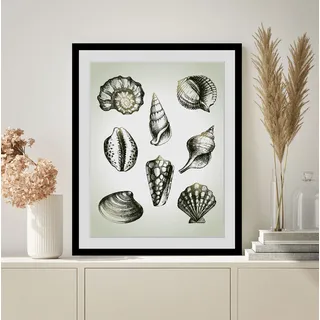 Bild QUEENCE "Willy", grau (farbe rahmen: schwarz, farbe bild(er): grau), B:40cm H:50cm, Acrylglas, Holz, Papier, Bilder, Bild, HD Premium Poster-Druck inkl. Holzrahmen