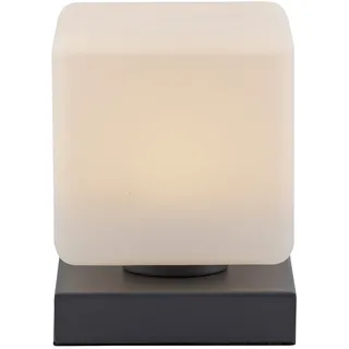 PAUL NEUHAUS LED-Tischleuchte 4036-13 anthrazit, 5 W, 580 lm, 3000 K