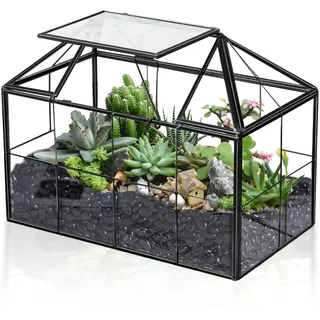 Ferrisland Luftpflanzen-Terrarium-Glas – Haus Sukkulenten Glasterrarium Großer geometrischer Übertopf mit Lippe für Sukkulenten Farn Luftpflanze Tischplatte DIY Geschenk – Miniatur-Gewächshaus