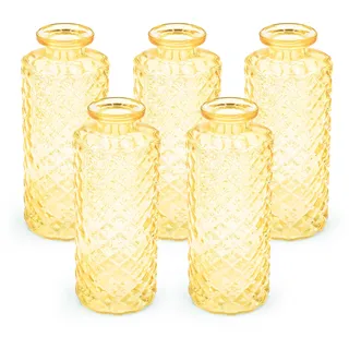 Blümelhuber 5er Set Kleine Vase Glas Deko Hochzeit - Vase Klein - Vase Modern - Deko Frühling - Pflanzen Deko Trockenblumen Set Vasen Hochzeitsdeko (Gelb)