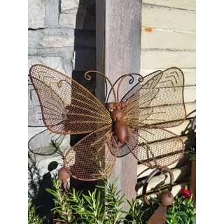 Edelrostoptik Schmetterling, Gitterflügel