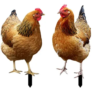 BESTonZON 2 Stücke Gartenstecker Gartenfigur Huhn Hühner Figur Gartendeko Tiere Stecker Dekofigur Osterdeko Statue Ostern Deko Figuren Acryl Zaunhocker Garten Statue Hof Dekoration