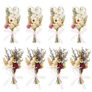 Livdouyu 8 Stück Trockenblumenstrauß Klein, Mini Blumenstrauß Getrocknet, Mini Trockenblumen, Getrocknete Blumen Trockenblumen Klein für Geschenk DIY Hochzeitsdekoration Geburtstag Party-Dekorationen