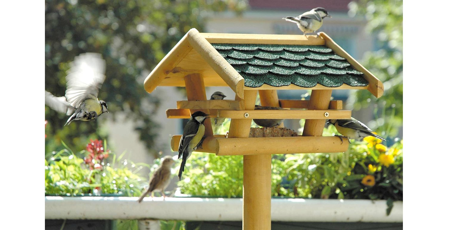 Bild von Vogelhaus mit Bitumenschindel-Dach grün