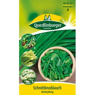 Quedlinburger Schnittknoblauch ''mehrjährig''