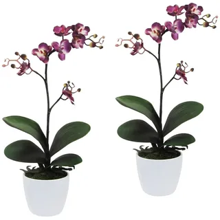 Creativ green Kunstpflanze "Orchidee Phalaenopsis" im Keramiktopf, lila