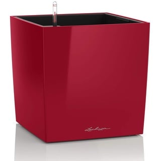 Cube 50 Komplettset 50 x 50 x 50 cm scarlet rot hochglanz