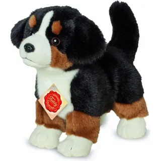 Teddy-Hermann  Berner Sennenhund Welpe