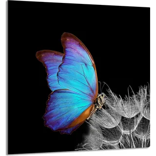 GLASPLATTE FÜR KÜCHE 60x65 Schmetterling