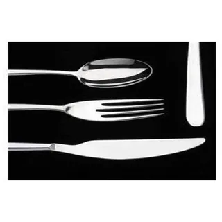 Pintinox PINTI Set mit 12 Löffeln aus Edelstahl für Obst und Küchenbesteck