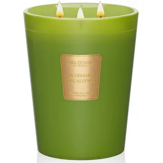 M&SENSE Rosmarin Eukalyptus Duftkerze im Glas groß 990g 150H Brenndauer lang anhaltend, 3-Docht natürliche Aromatherapie Kerze stark duftend, Geschenkkerze für Heim Deko
