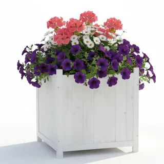 Mucola Blumenkübel Pflanzkübel Holz für Innen und Außen 50x50 cm Weiß | Pflanztrog für Blumen, Kräuter, Sträucher, robust, witterungsbeständig, pflegeleichte glatte Oberfläche, Höhe 50 cm, Outdoor