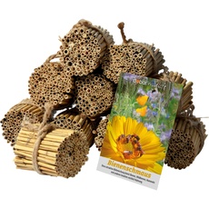 Bild von Schilfrohrhalme-Set für Wildbienen - Blütensamen „Bienenschmaus“