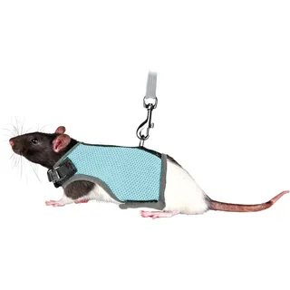 Trixie Softgeschirr mit Leine für Ratten, Nylon