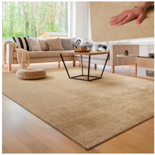 Paco Home Cadiz 630 Kurzflorteppich 80 x 300 cm dunkelbeige