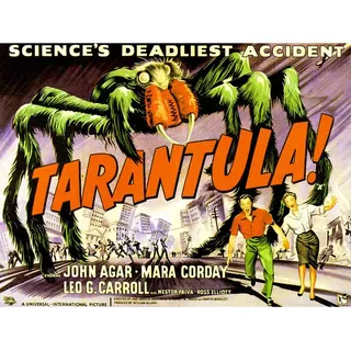 Wee Blue Coo Prints Movie Film Tarantula Giant Spider Horror ARACHNOPHOBIA SCI FI USA 30x40 cms Art Poster Print Picture Film Grusel Vereinigte Staaten von Amerika Bild