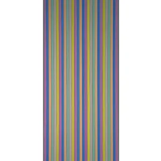 CONACORD Streifenvorhang Brilliant Türvorhang 90 x 200 cm Mehrfarbig