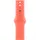 40mm Tangerine Sport Band - M/L