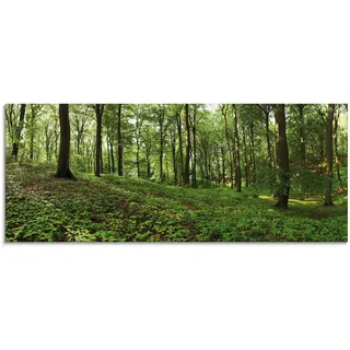 Artland Glasbild »Panorama von einem grünen Sommerwald«, Wald, (1 St.), in verschiedenen Größen Artland grün