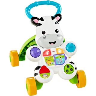 Fisher Price Mattel Fisher-Price Lern mit mir Zebra Lauflernwagen (DLD94)