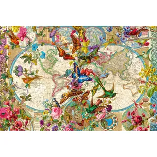 Ravensburger 17117