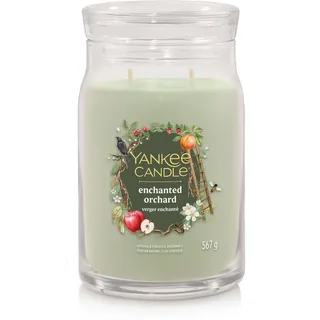 Yankee Candle Enchanted Orchard Duftkerze 567 g grün