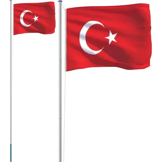 vidaXL Flagge der Türkei mit Mast 6,23 m Aluminium