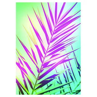 Komar Wandbild | Shine | Poster, Bild, Wohnzimmer, Schlafzimmer, Dekoration, Kunstdruck | ohne Rahmen | P117-50x70 | Größe: 50 x 70 cm (Breite x Höhe)