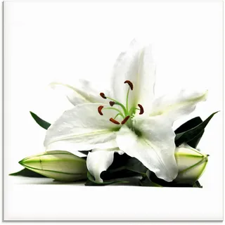 Artland Glasbild »Große Lilie« Blumen 1 Stk. tlg. in verschiedenen Größen, weiß