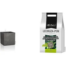 Lechuza Canto Stone Low 30, graphitschwarz & PON 18 Liter Pflanzsubstrat, Neutral