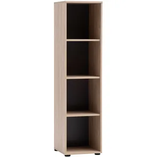 Schildmeyer Arezzo Aktenregal 38,2 x 38,2 x 150 cm Schwarz