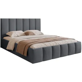 Selsey Polsterbett Sarafino Dunkelgrau Samt 180x200 cm , Textil , 180x200 cm , Schlafzimmer, Betten, Polsterbetten