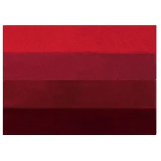 Spirella Badteppich Badematte Badvorleger Duschvorleger Mikrofaser Hochflor flauschig 55x65 cm – Rot