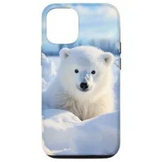 Hülle für iPhone 14 Pro Eisbär, arktischer Nordpol, Alaska-Schnee, niedliche Eisbären