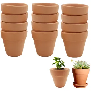 Molyorch 12 Stücke Terrakotta Sukkulenten Töpfe, Ton Töpfe, Wiederwendbar Terrakotta Blumentoepfe, für Außenbereiche, Innen, Pflanzen Handwerk Hochzeit Gunsten (6,5 x 6cm)
