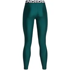 Bild von HeatGear Leggings Damen Blau F449