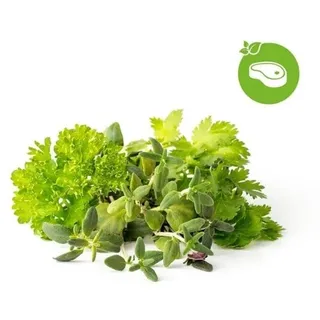 Click & Grow Smart Garden Refill 9-pack Grill & Steak Mix