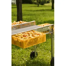 Obstkiste 8-er Set 60x40x17cm SilverFox gelb