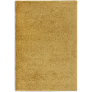 Astra Salerno 250 Teppich 80 x 150 cm Gold