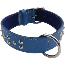 BBD Pet Products Breites Nietenhalsband, Einheitsgröße, 1,27 x 61 cm, Königsblau