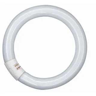 Osram LUMILUX T9 C 40W 840 G10q
