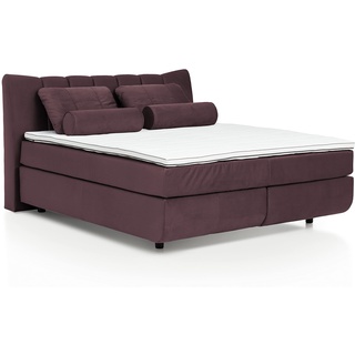 Mivano Free Boxspringbett mit Durchgehender Matratze (H3) und Basic Topper, Velours Cosy Lila, Liegefläche 140 x 200 cm