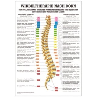 Dorntherapie Lehrtafel Anatomie 100x70 cm medizinische Lehrmittel