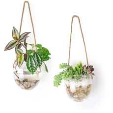Ivolador 2 Stück Glas Blumen Pflanzen Terrarium Behälter für Hydrokultur Pflanzen Home Office Garten Dekor Wandbehang