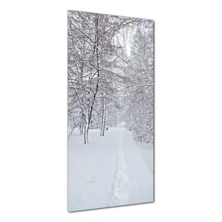 Wallario selbstklebende Duschrückwand 80 x 190 cm mit Motiv Verschneiter Spazierweg - Wandverkleidung mit Hochglanzlaminat in Glasoptik